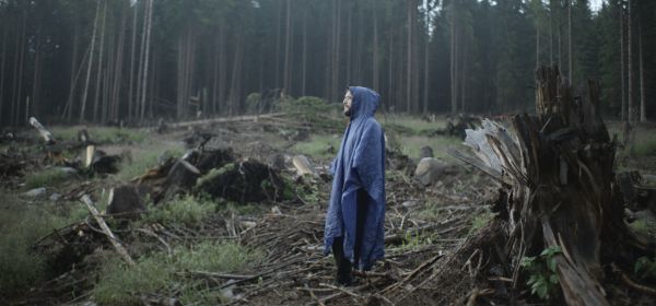 The Forest Code