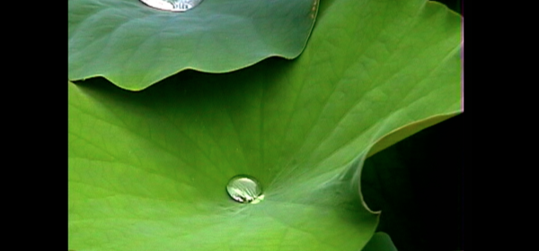 The Fourth Dimension