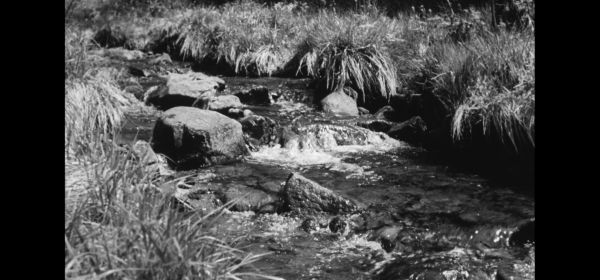Dead Rivers