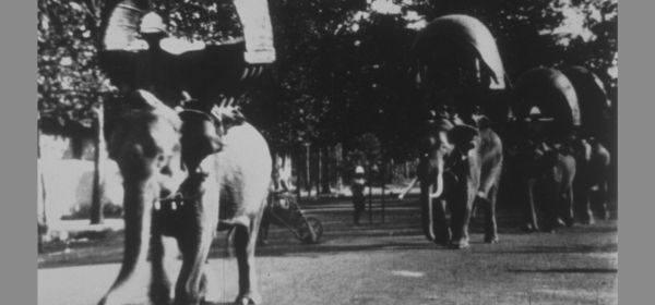 Elephant March in Phnom Penh