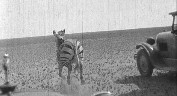 The Dockworker’s Dream