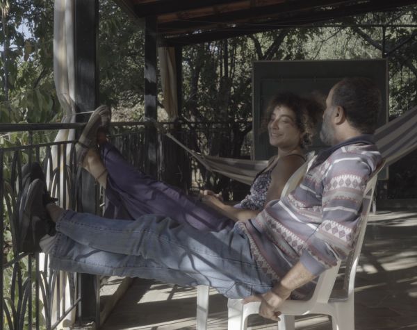 The cats, the sea, and everything in between.