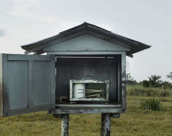 The Tree of Authenticity