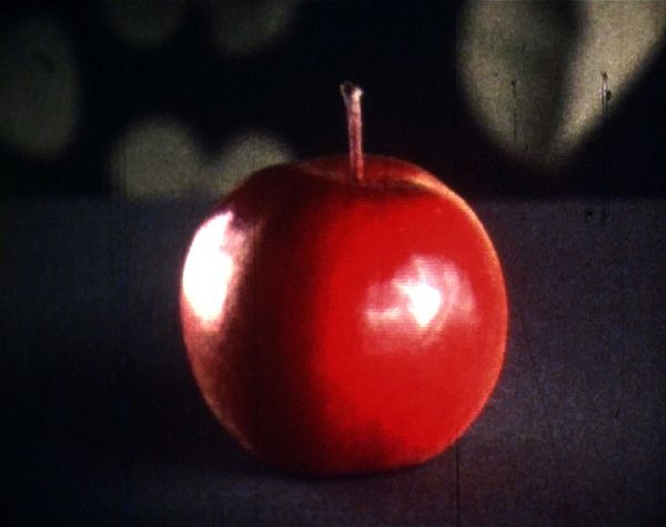 Omena The Apple