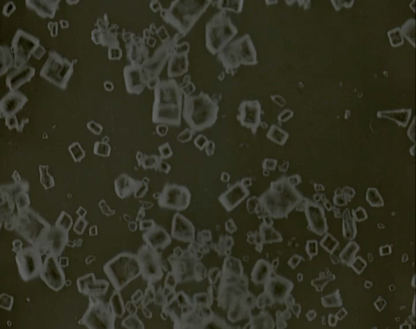 Foodfilms