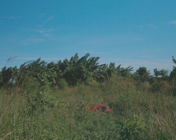 A bike, a plane and a cart