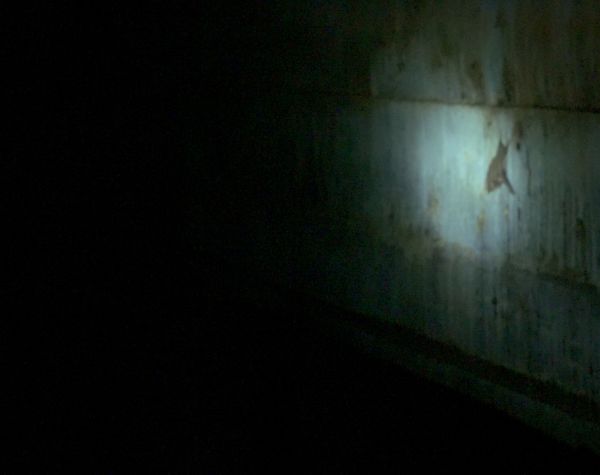 Whisper of Wall
