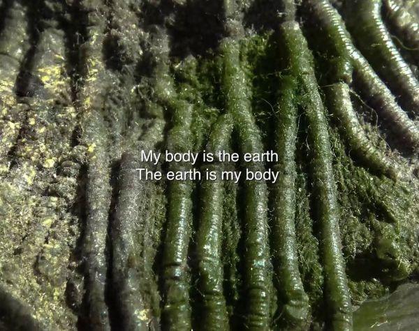 Ecology of the Body