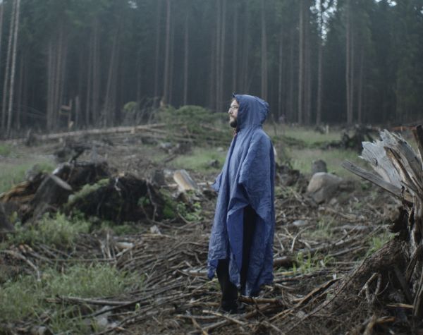 The Forest Code