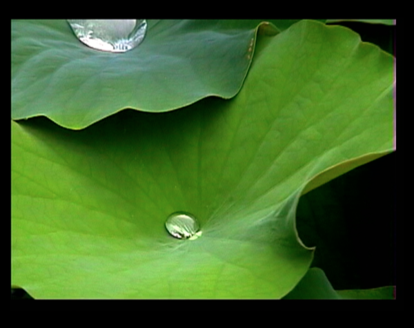 The Fourth Dimension
