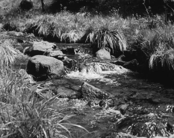 Dead Rivers