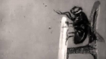 The Strength and Agility of Insects