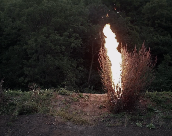 Thinking Through Film 5: Authorial Choices