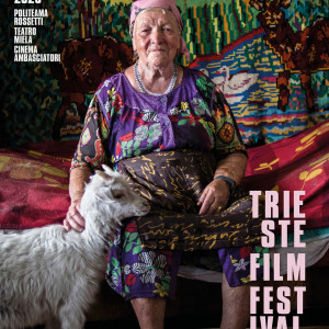 Kliknutím zvětšíte 12 TRIESTE FILM FESTIVAL