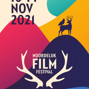 13 Noordelijk Film Festival