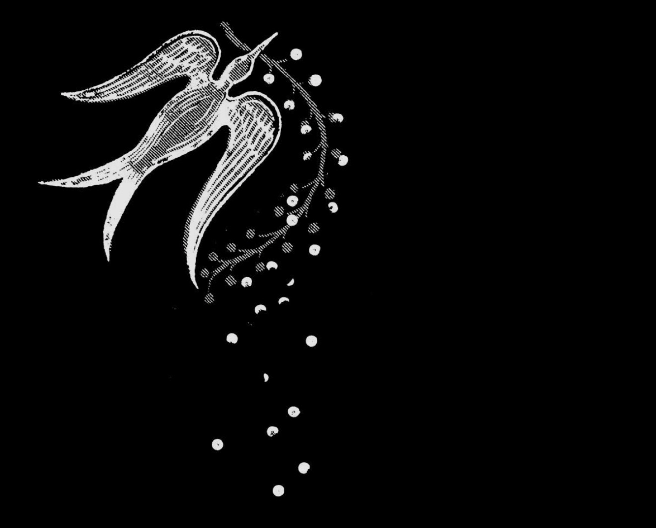 Festival trailer is here! Made by Sergei Loznitsa