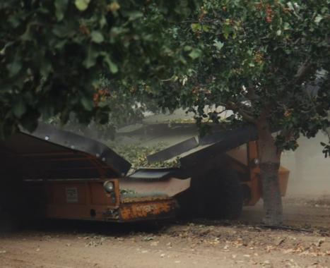 Meet the Pistachio Barons Who Control California’s Water