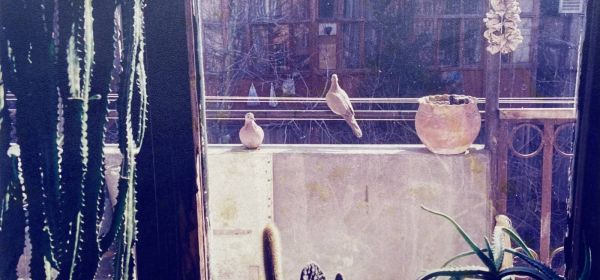 ნანას ქარიშხალი