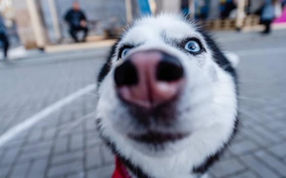 29th Ji.hlava | 29. 10.